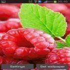 Oltre sfondi animati su Android Dynamical ripples, scarica apk gratis Raspberries.
