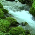 Oltre sfondi animati su Android Jade nature HD, scarica apk gratis River flow.