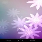 Oltre sfondi animati su Android Forest flowers, scarica apk gratis Samsung: Carnival.