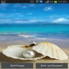 Oltre sfondi animati su Android Spring flower, scarica apk gratis Seashells.