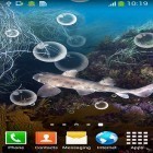 Oltre sfondi animati su Android Flowers by Ultimate Live Wallpapers PRO, scarica apk gratis Shark.