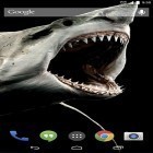 Oltre sfondi animati su Android Panoramic screen, scarica apk gratis Shark 3D.