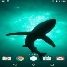 Oltre sfondi animati su Android Inks in Water, scarica apk gratis Sharks by Fun Live Wallpapers.