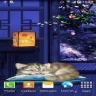 Oltre sfondi animati su Android Stars, scarica apk gratis Sleeping kitten.