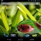 Oltre sfondi animati su Android Flowers HD, scarica apk gratis Smart cube.