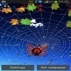 Oltre sfondi animati su Android Night nature HD, scarica apk gratis Spider.