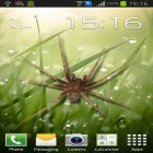 Scaricare Spider in phone su Android, e anche altri sfondi animati gratuiti per Samsung Galaxy Note.