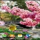 Oltre sfondi animati su Android Flowers are blooming HD, scarica apk gratis Spring garden.