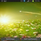 Oltre sfondi animati su Android Windmill 3D, scarica apk gratis Spring meadow.