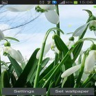 Oltre sfondi animati su Android Petals 3D, scarica apk gratis Spring snowdrop.