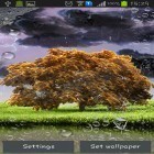 Oltre sfondi animati su Android Roses by Live Wallpaper HD 3D, scarica apk gratis Spring storm.