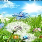 Oltre sfondi animati su Android My beach HD, scarica apk gratis Summer flowers.