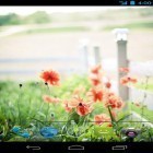 Oltre sfondi animati su Android Sky birds, scarica apk gratis Summer flowers by Mww apps.