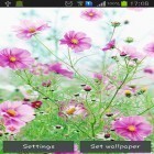 Oltre sfondi animati su Android Pretty pink, scarica apk gratis Sweet flowers.
