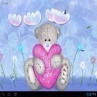 Oltre sfondi animati su Android Summer: flowers and butterflies, scarica apk gratis Teddy bear.