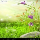 Scaricare The sparkling flowers su Android, e anche altri sfondi animati gratuiti per LG Optimus Hub E510.