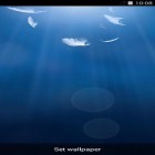 Oltre sfondi animati su Android White tiger: Water touch, scarica apk gratis The wing.