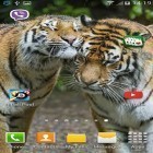 Oltre sfondi animati su Android Leopard, scarica apk gratis Tigers: shake and change.