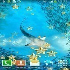 Oltre sfondi animati su Android My date HD, scarica apk gratis Underwater.