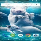 Scaricare Underwater animals su Android, e anche altri sfondi animati gratuiti per Huawei Ascend Y320.