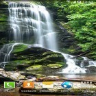 Oltre sfondi animati su Android Beautiful flowers, scarica apk gratis Waterfalls.