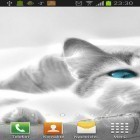 Oltre sfondi animati su Android 3D Waterfall pro, scarica apk gratis White cats.