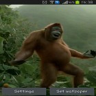 Oltre sfondi animati su Android Mountain weather, scarica apk gratis Wild dance crazy monkey.