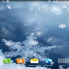Scaricare Winter by Blackbird wallpapers su Android, e anche altri sfondi animati gratuiti per Samsung Galaxy R.