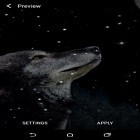 Oltre sfondi animati su Android Dolphin blue, scarica apk gratis Wolf and Moon.