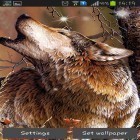 Oltre sfondi animati su Android Mountain weather, scarica apk gratis Wolf by HQ Awesome live wallpaper.