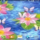 Oltre sfondi animati su Android Rainy day by Live wallpapers free, scarica apk gratis Butterflies by Amax LWPS.